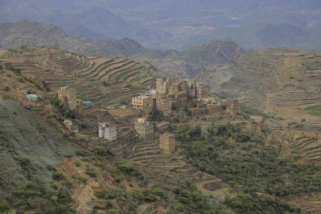 Yemen Terrace Farming: Unveiling the History and Significance of Coffee Cultivation
