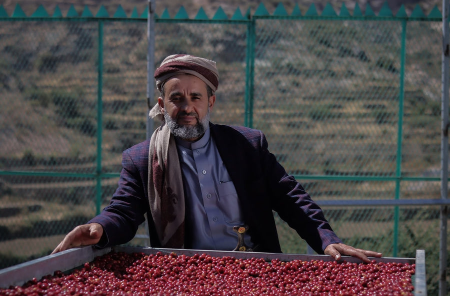 Ghalib Natural (Gold Series) Gold Medal Winner