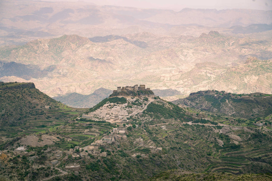 Wadi Haraz Silver Series Yemen Coffee