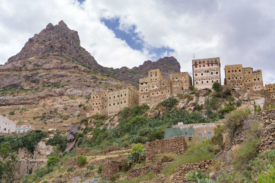 Wadi Haraz Silver Series Yemen Coffee